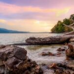 Andaman Packages from Vizag: Your Complete Island Getaway Guide PNN-2026-06-19T122027816